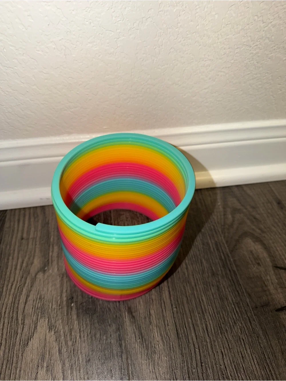 Large Rainbow Slinky Toy